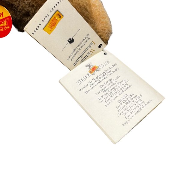 Vintage Steiff Floppy Brown Bear #082108 Plush 8" W/Tags Button Germany RARE - Picture 4 of 12